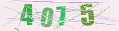 CAPTCHA validation image