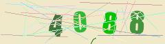 CAPTCHA validation image