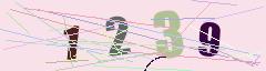 CAPTCHA validation image