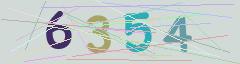 CAPTCHA validation image